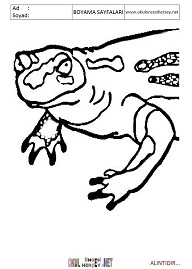 Semender boyama sayfaları